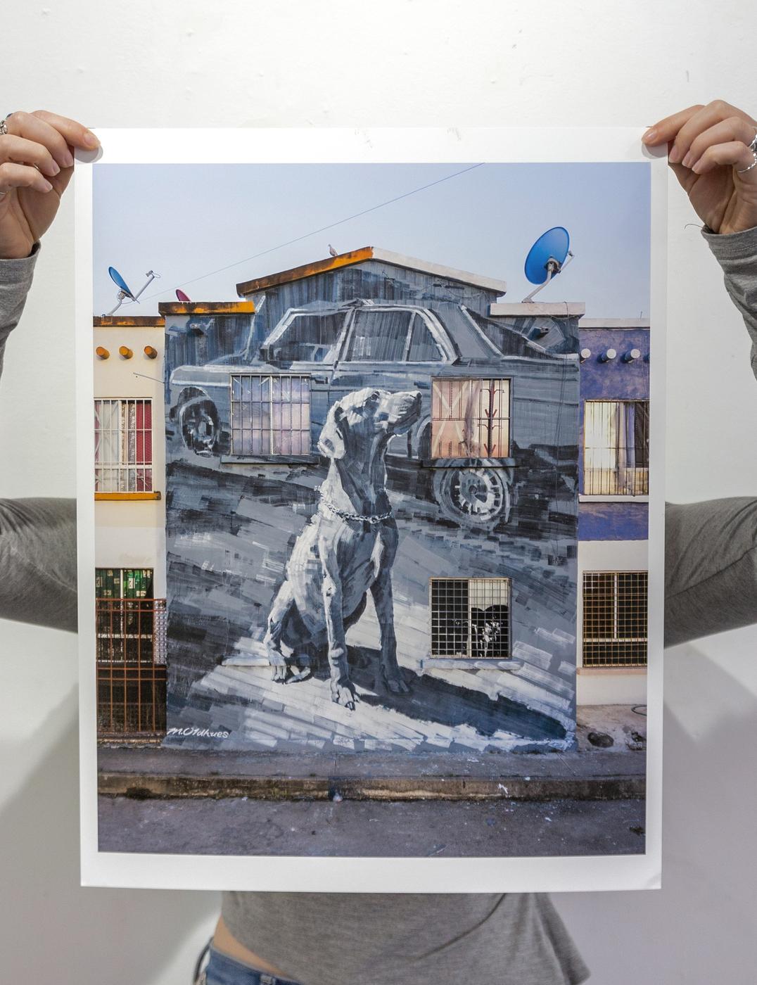 Little Neighbour / Pequeño Vecino print by Megan Oldhues